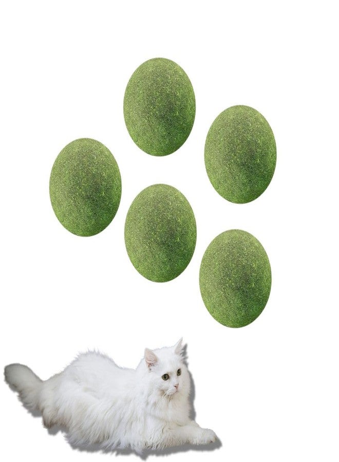 PET FUN Catnip Mint Ball Toy Combo | Natural Bean Catnip Treats for Teeth Cleaning, Chewing, and Licking | Fresh Breath & Playful Fun for Cats & Kittens - Image 1